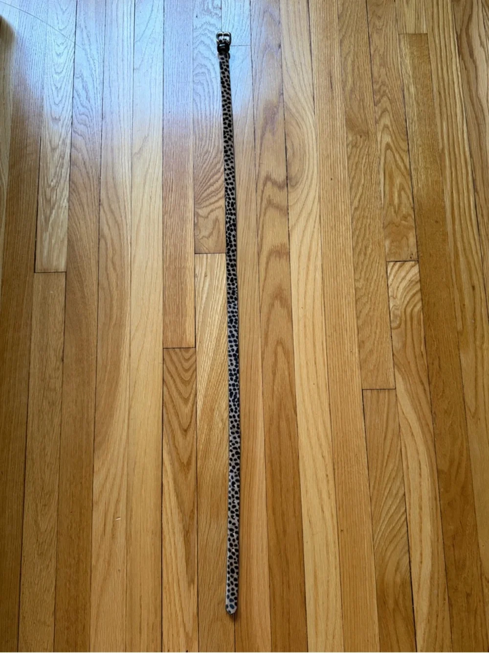 J.Crew Calf Hair Leopard Print Women’s Belt - Picture 3 of 6